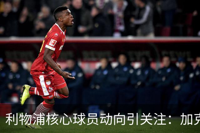 利物浦核心球员动向引关注：加克波或因萨尔转会传闻离队