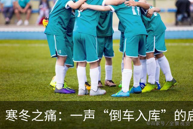 寒冬之痛：一声“倒车入库”的启示